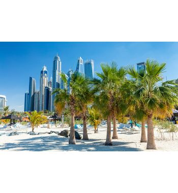 Тур на 8 дней в Дубай